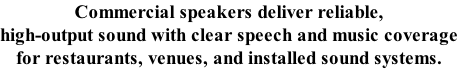 Commercial speakers deliver reliable, high-output sound with clear speech and music coverage for restaurants, venues, and installed sound systems.