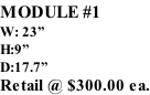 MODULE #1 W: 23” H:9” D:17.7” Retail @ $300.00 ea.